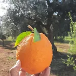 Aparthotel Casa Trullo Bianco: Casa Limone 4*