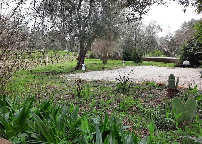 Casa Trullo Bianco: Casa Limone Ξενοδοχείο με διαμερίσματα